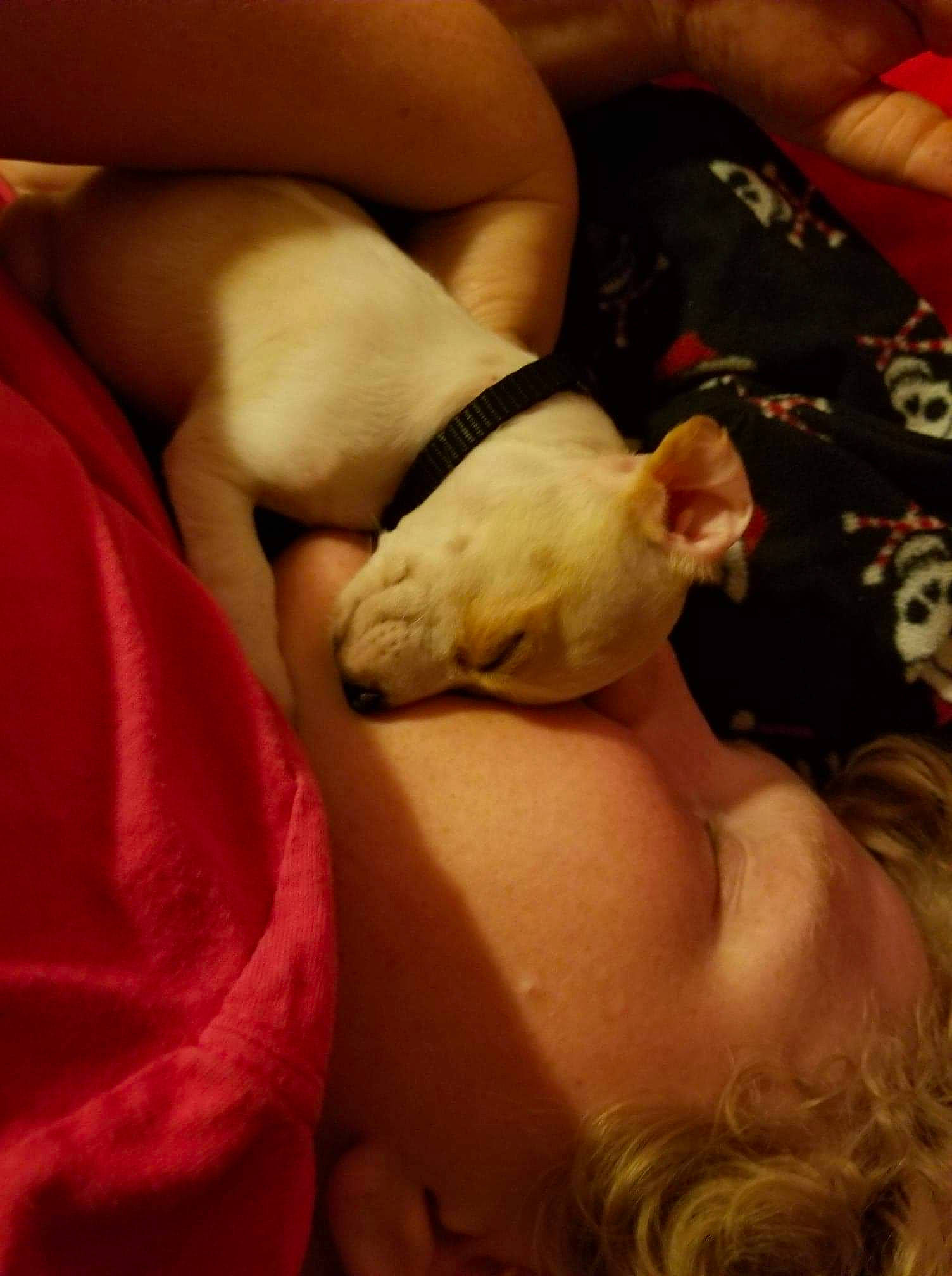 Rally joined the competition — help win amazing prizes! fawn, flesh, leg, mouth