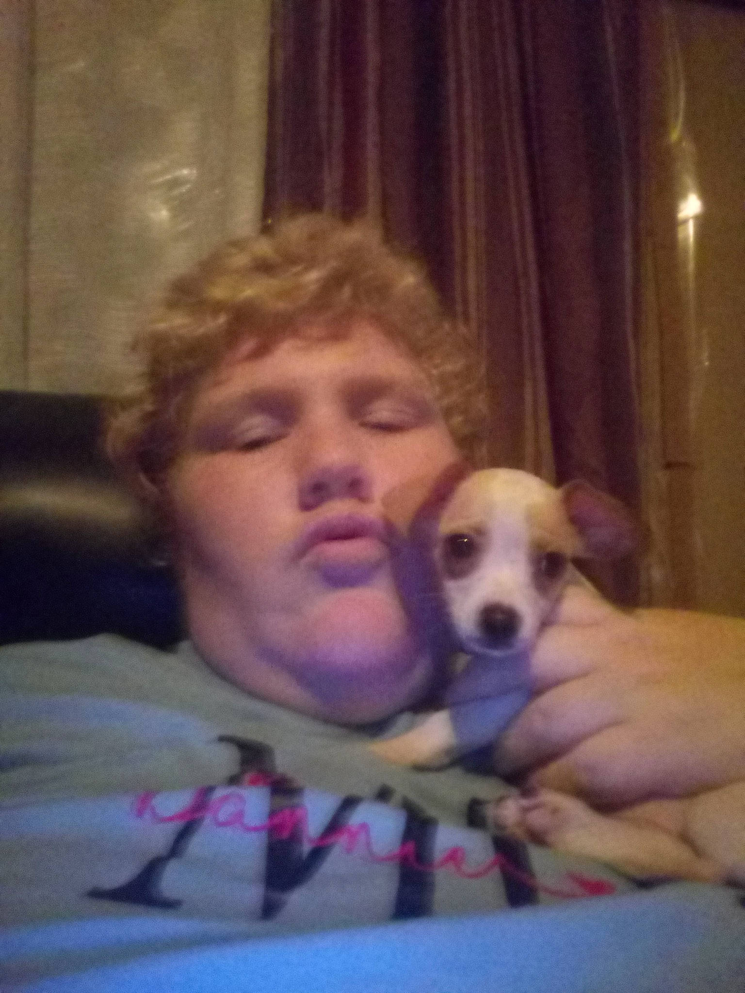 Rally is registered to the contest to win money with this photo: canidae, carnivore, companion_dog, dog, dog_breed, fawn, italian_greyhound, mammal, nose, puppy, puppy_love, whippet