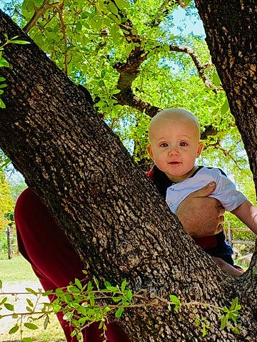 Aaron Jr is registered to the contest to win money with this photo: baby, botany, branch, child, people_in_nature, person, plant, toddler, tree, trunk, woody_plant