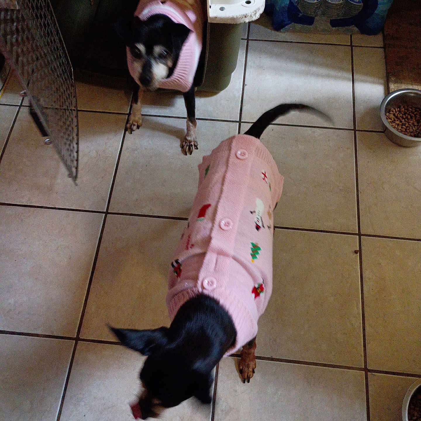 Lady And Lala