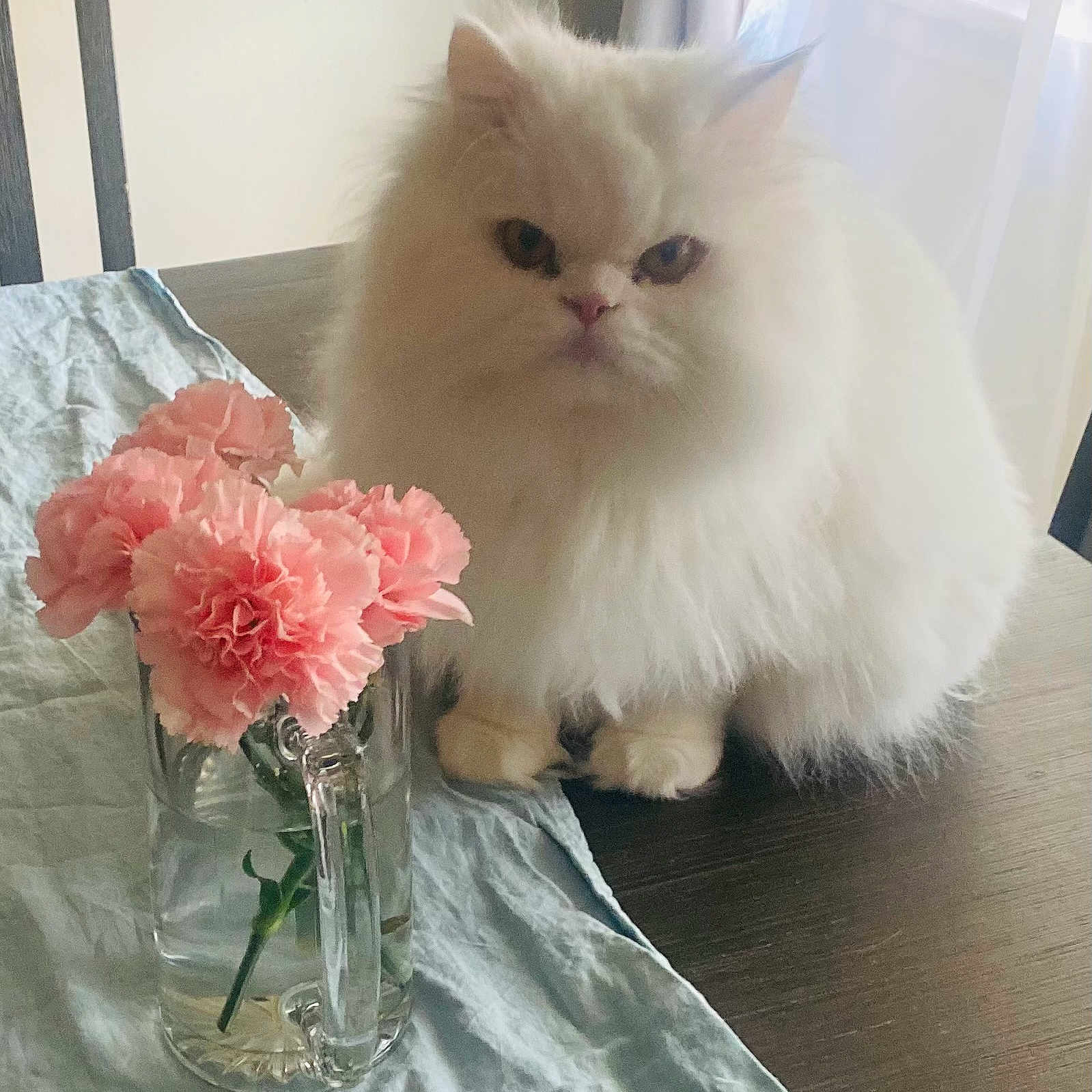 Floky