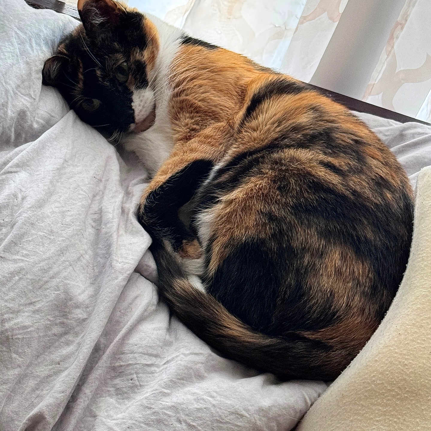 Mia