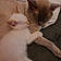 Smokey With Freya