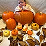 Jesse is registered to the contest to win money with this photo: baby, pumpkin, orange, striped_clothing, autumn, fall_leaves, cozy, blanket, cute, child, seasonal, indoors, decorative, holiday, festive, toddler, sitting, expression, face, small_pumpkins
