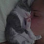 kitten, cat, sleeping, person, face, tattoo, bed, blanket, rest, cozy, nap, feline, paw, closeup, indoor, cute, animal, pet, gray, white