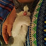 kitten, cat, sleepy, hand, arm, colorful_fabric, pattern, cozy, pet, animal, feline, resting, closeup, cute, domestic_cat, soft, small, whiskers, pink_nose, relaxed