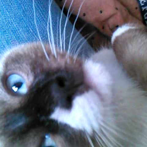 Toke'n Lathrop is registered to the contest to win money with this photo: