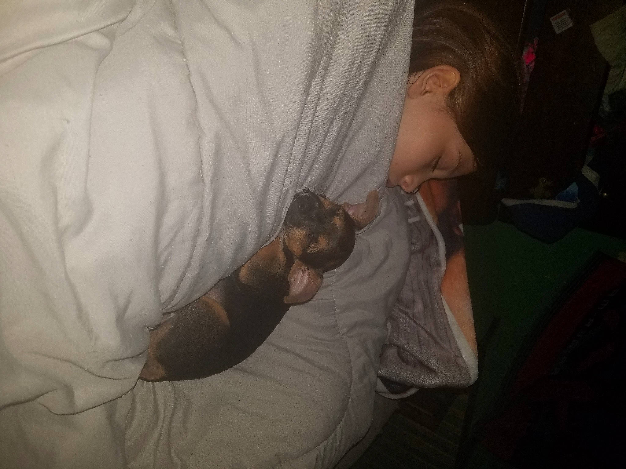 Tbone joined the competition — help win amazing prizes! arm, elbow, fun, organism