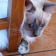 Jenna a rejoint le concours — aidez-le/la à gagner de superbes lots !