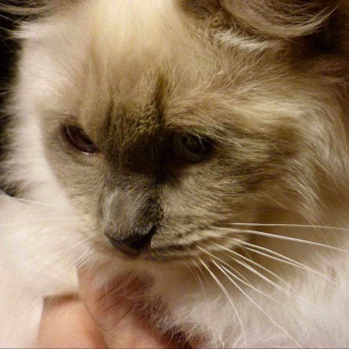 Jenna a rejoint le concours — aidez-le/la à gagner de superbes lots !