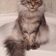 Nessy a rejoint le concours — aidez-le/la à gagner de superbes lots !