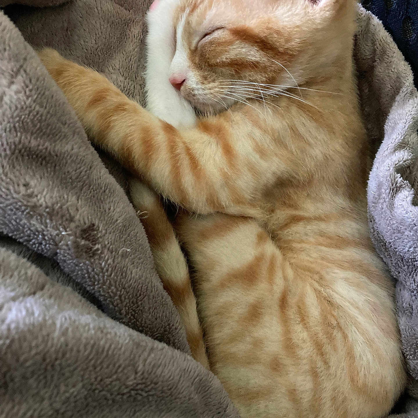 Kiyoshi