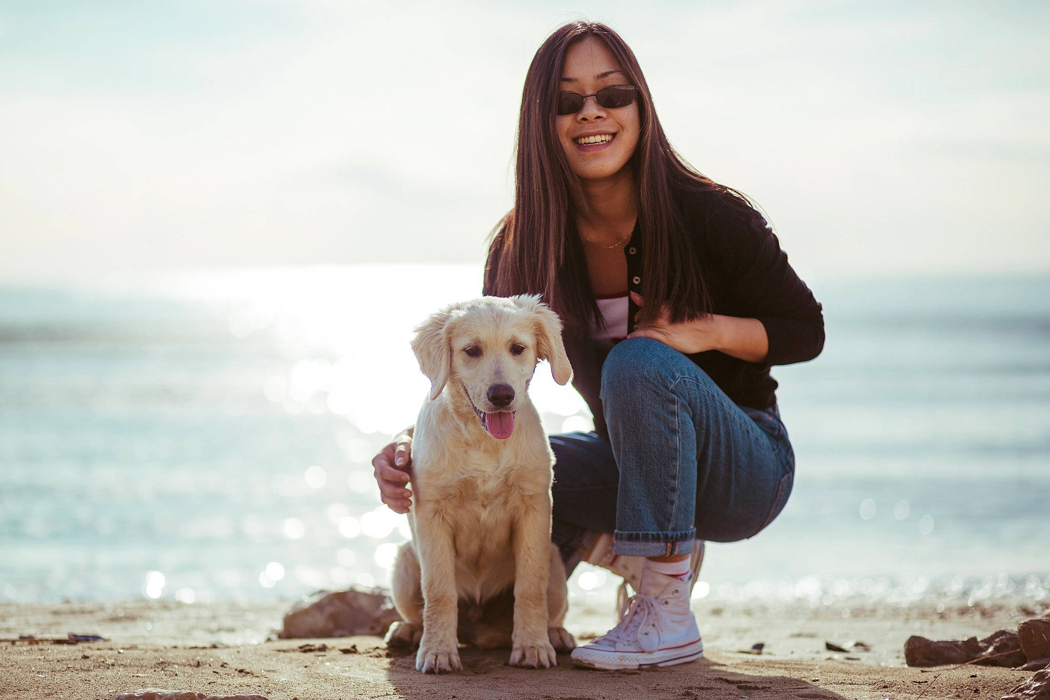 Hobbie a rejoint le concours — aidez-le/la à gagner de superbes lots ! beach, canidae, carnivore, companion_dog, dog, dog_breed, golden_retriever, labrador_retriever, mammal, ocean, photo_shoot, photography, puppy_love, retriever, sea, sporting_group, vacation, vertebrate