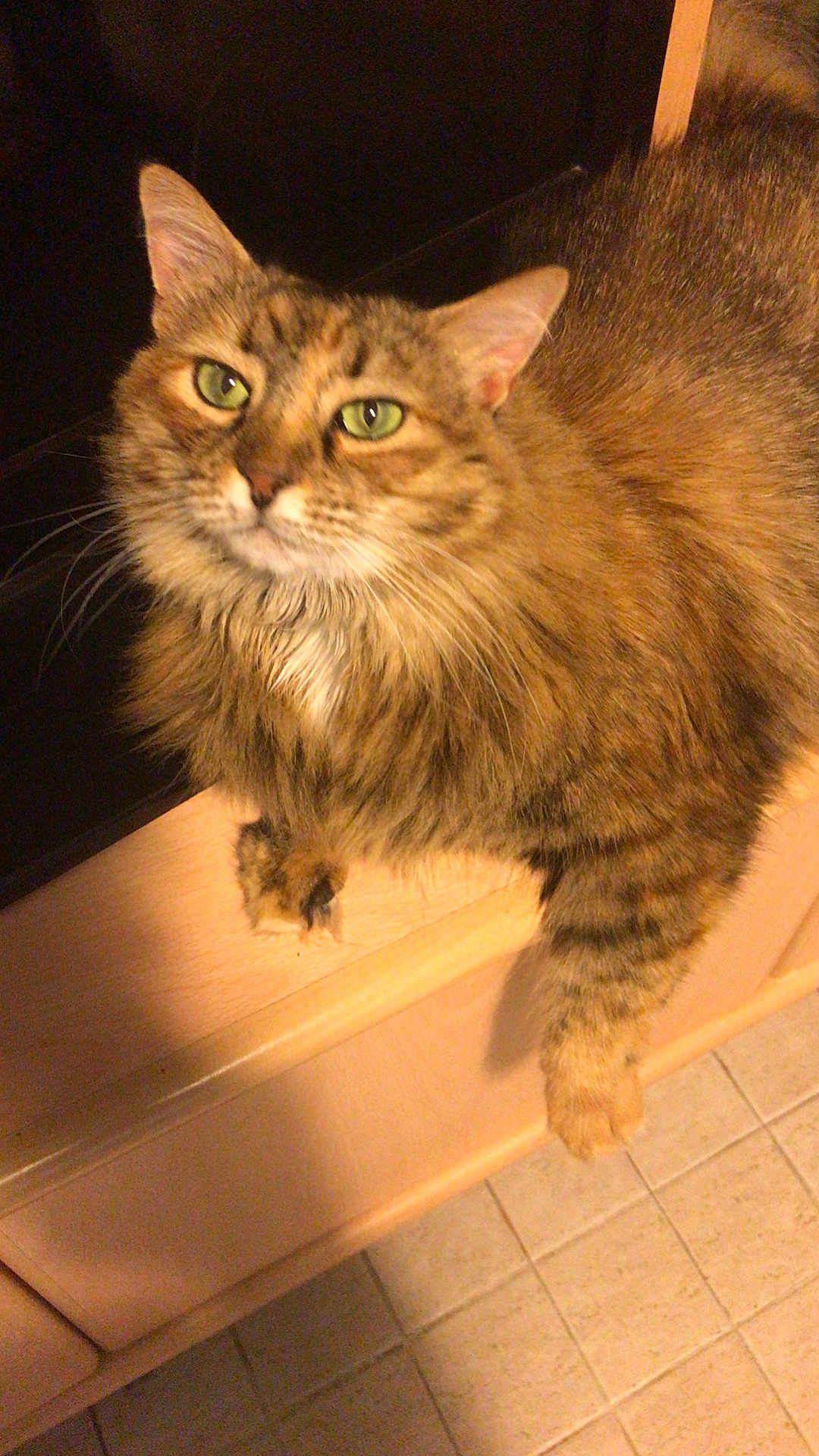 Caramella