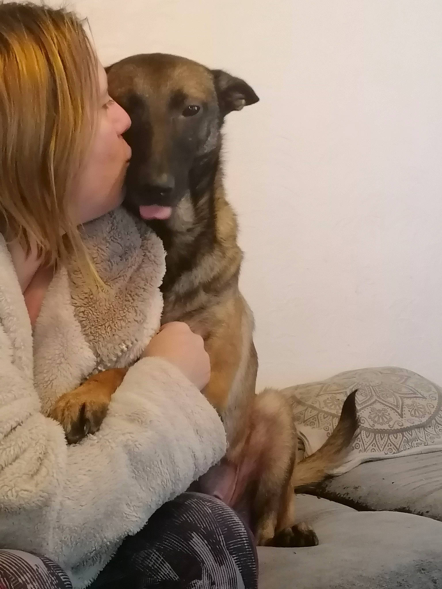 Nalah a rejoint le concours — aidez-le/la à gagner de superbes lots ! belgian_shepherd_malinois, canidae, carnivore, dog, dog_breed, fawn, mammal, potcake_dog, snout, vertebrate