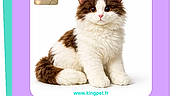 Koeurthysse a rejoint le concours — aidez-le/la à gagner de superbes lots ! screenshot, mobile_app, cat, plush_toy, white_background, button, text_overlay, french_text, interface, digital_screen, animal, pet, fluffy_cat, brown_and_white, generated_image, user_interface, icon, share_button, recommencer_button, voir_button
