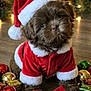 puppy, dog, santa_hat, santa_suit, christmas, holiday, festive, bone, red_bow, ornaments, gifts, decorations, brown_fur, cute, pet, wooden_floor, lights, pine_cones, seasonal, celebration