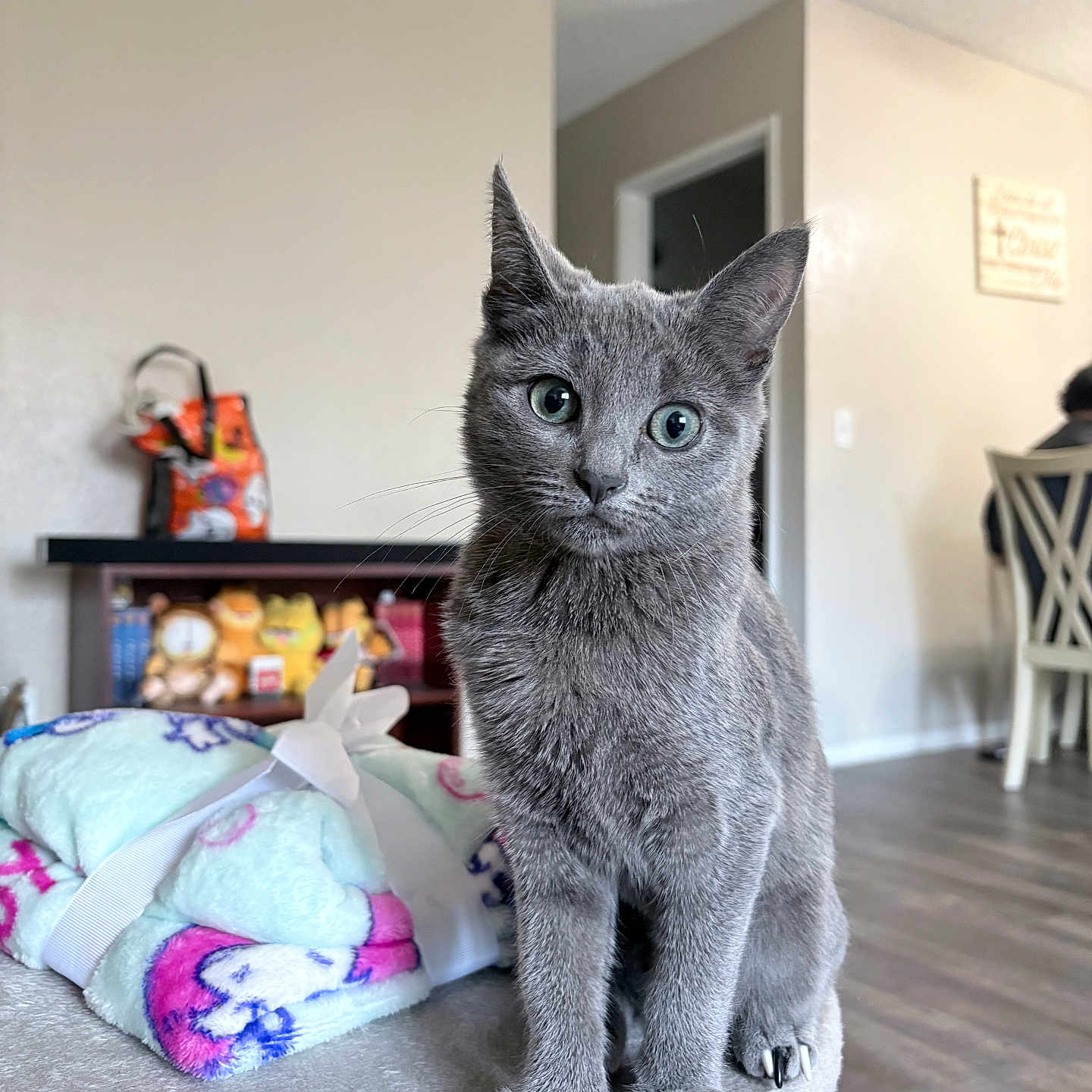 Dulce Vivian-Cortez