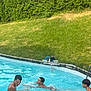 Zeari joined the competition — help win amazing prizes! activity, backyard, blue, boys, child, fun, grass, happy, hedge, leisure, outdoor, playing, pool, recreation, splash, summer, sunlight, swimming, swimwear, water
