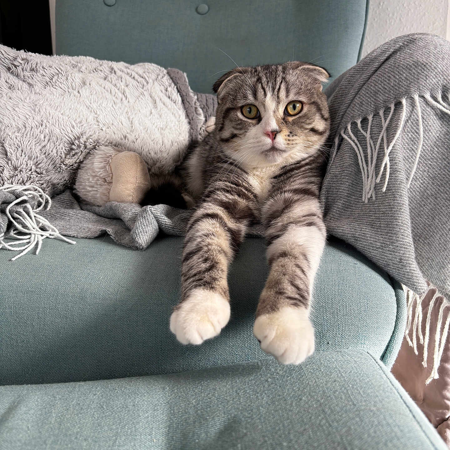 Poupi