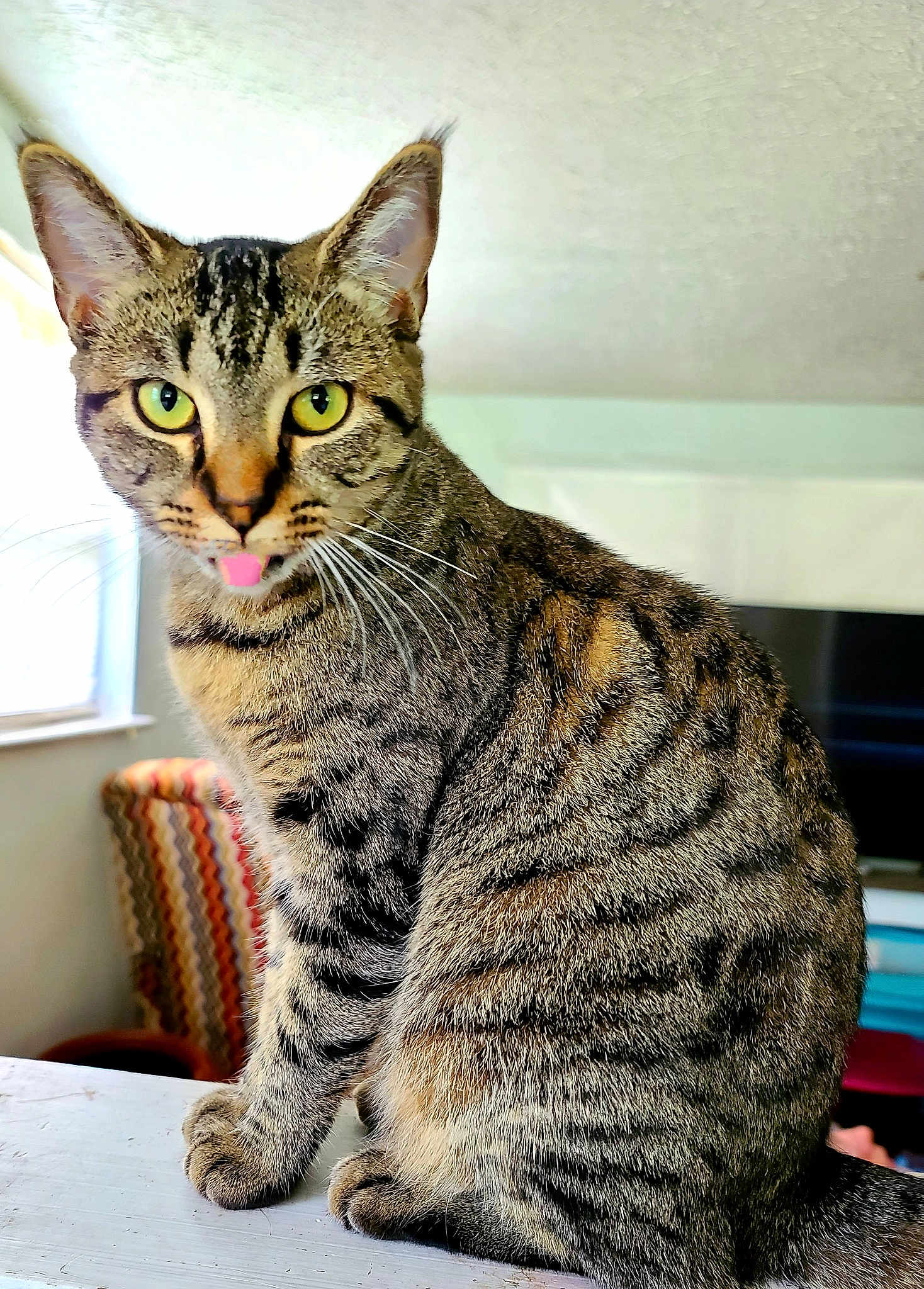 Maggie