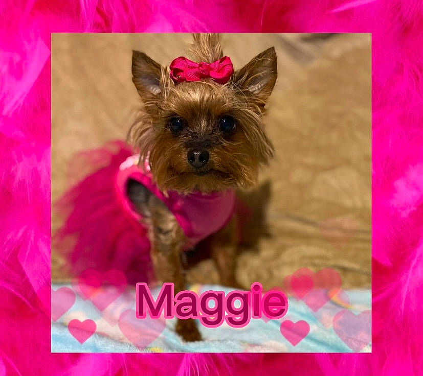 Maggie