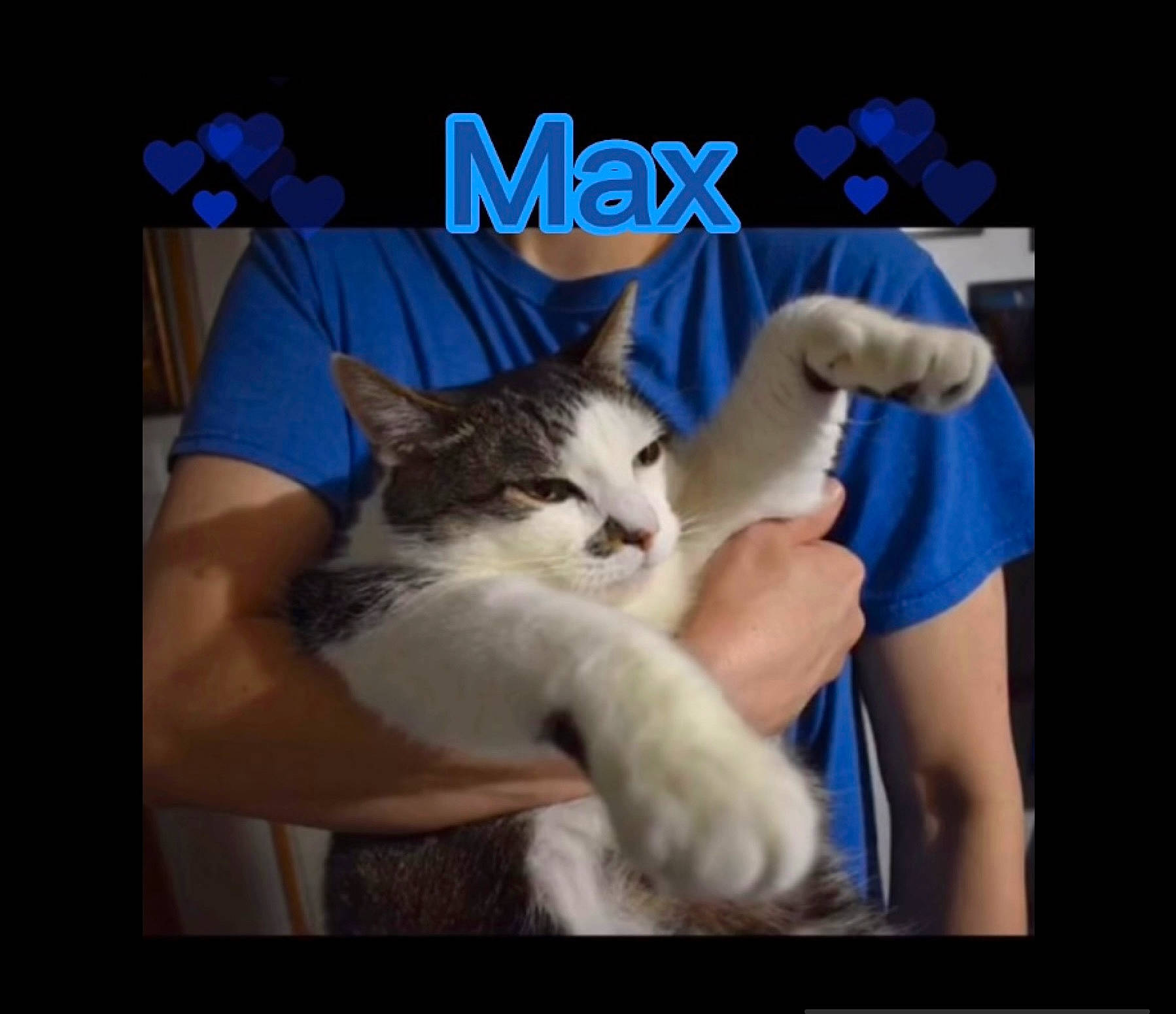 Max