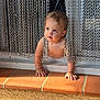 toddler, child, baby, crawling, metal_chains, curtain, indoors, floor, window, tiles, sunlight, skin, hands, face, expression, curious, young, person, doorway, home