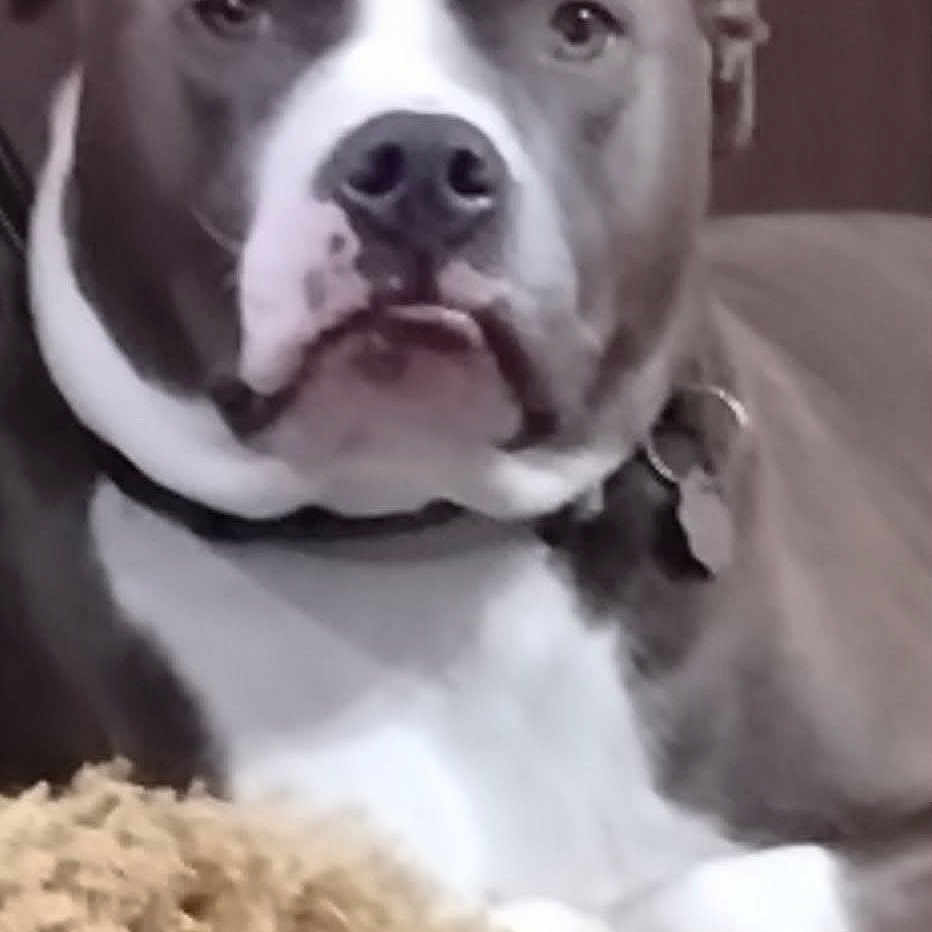 Loki