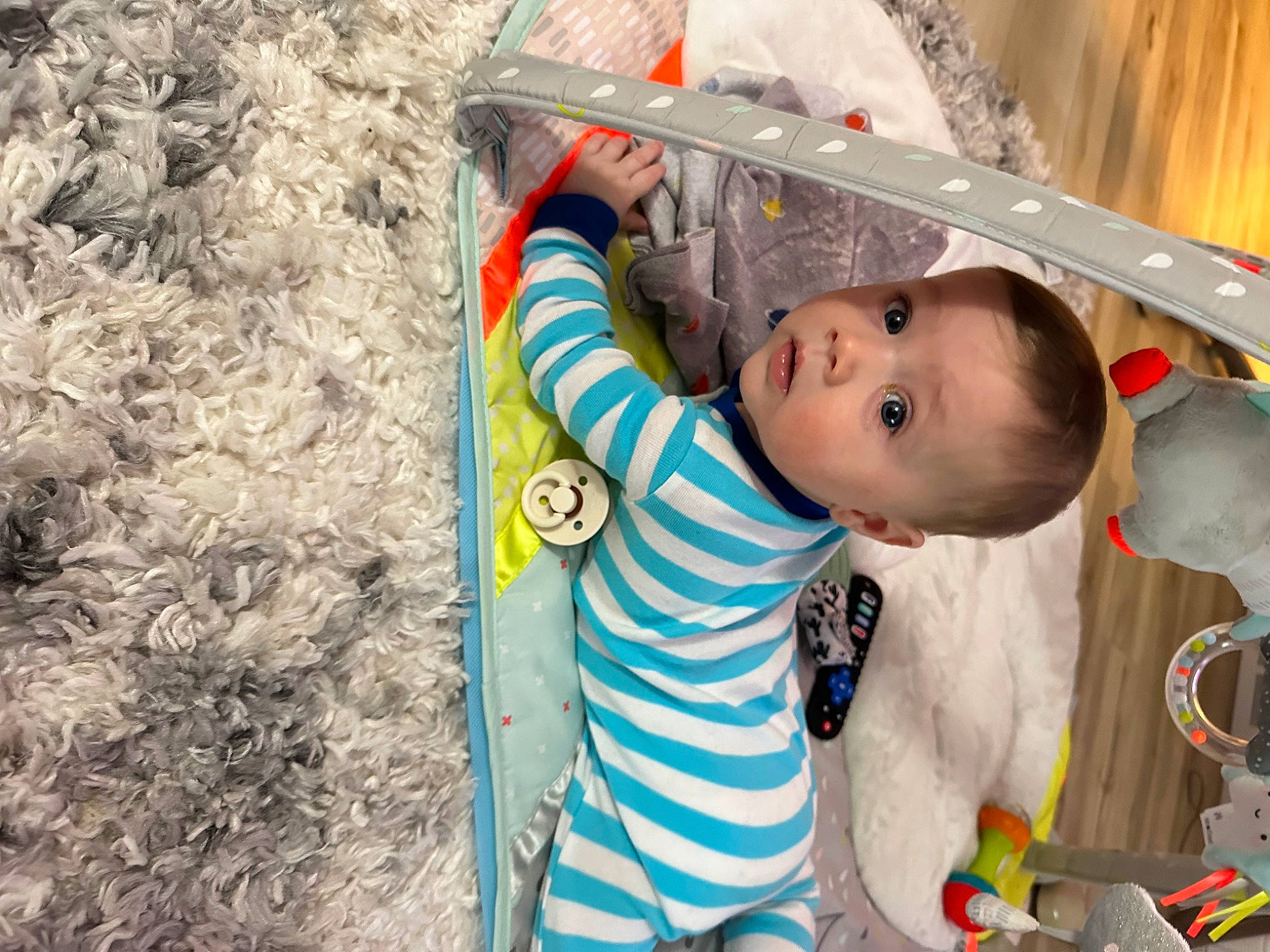 Kingston joined the competition — help win amazing prizes! baby, baby_toddler_clothing, child, fun, grass, happy, leisure, pattern, person, play, recreation, soil, surprise, t_shirt, toddler