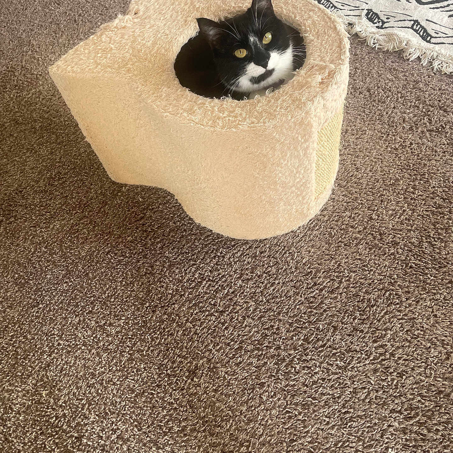 Luna