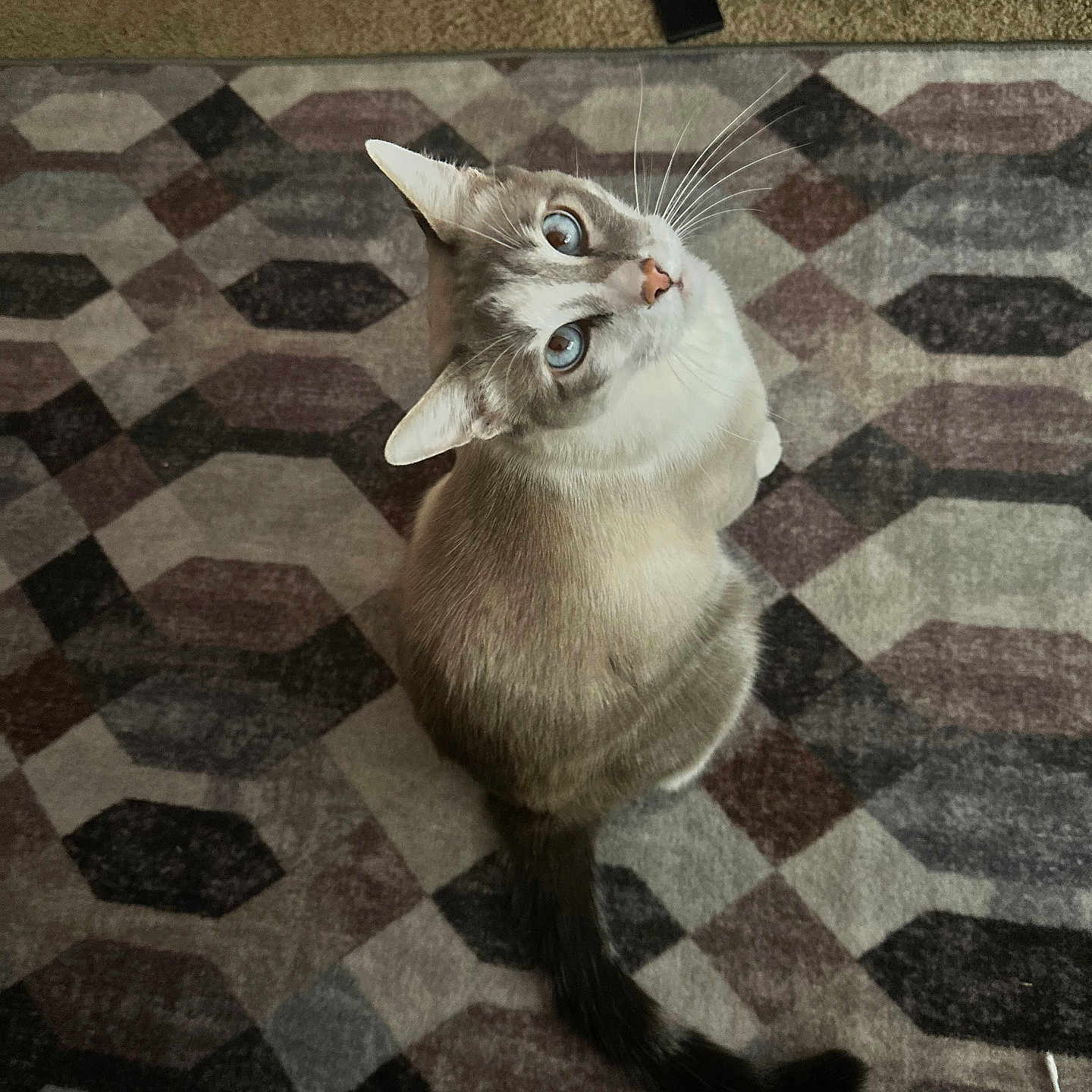 Casper