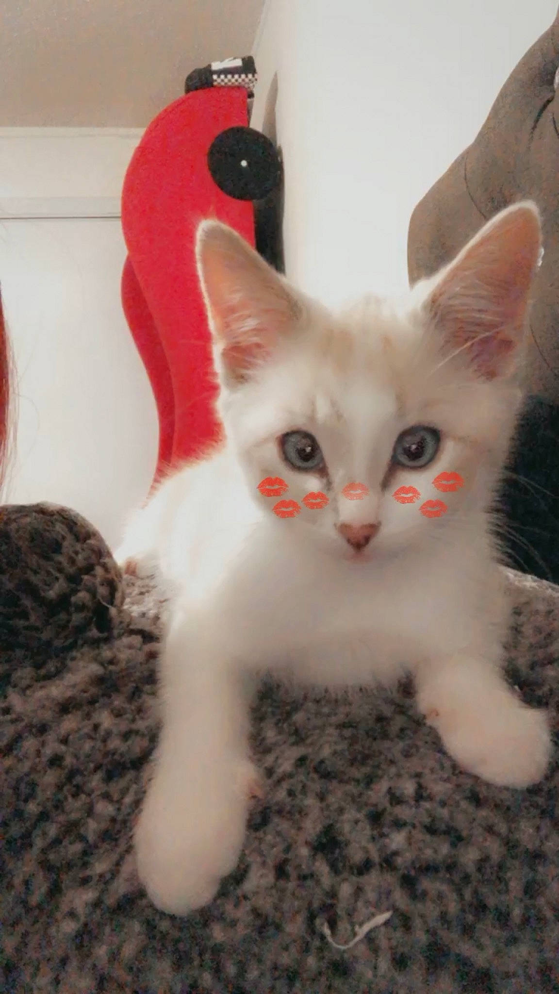 Casper