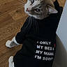 Casper is registered to the contest to win money with this photo: cat, animal, pet, clothing, shirt, text, wooden_floor, indoor, looking_back, curious, feline, domestic_cat, white_and_gray, sitting, casual, cute, apparel, message, black_shirt, fur