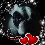Pluton participe au concours pour gagner de l'argent avec cette photo : dog, face, close_up, black_and_white, hearts, sparkles, vignette, romantic, cute, pet, animal, love, decorative, portrait, dark_background, whimsical, artistic, frame, expression, eye