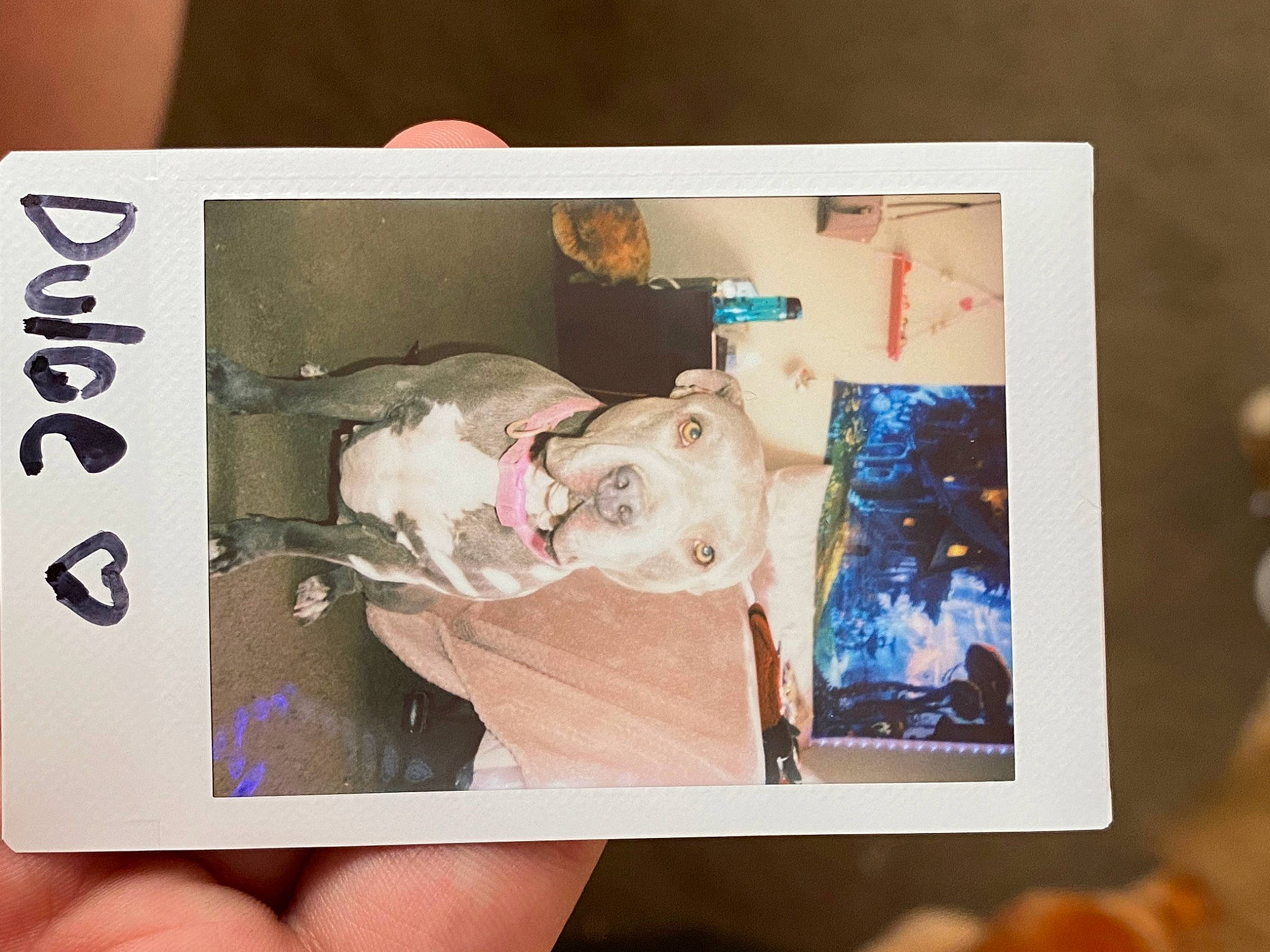 Dulce joined the competition — help win amazing prizes! art, camera, cameras_optics, child, collectable, eyelash, finger, flesh, font, illustration, magenta, nail, paint, paper, paper_product, photograph, room, snapshot, visual_arts, watercolor_paint