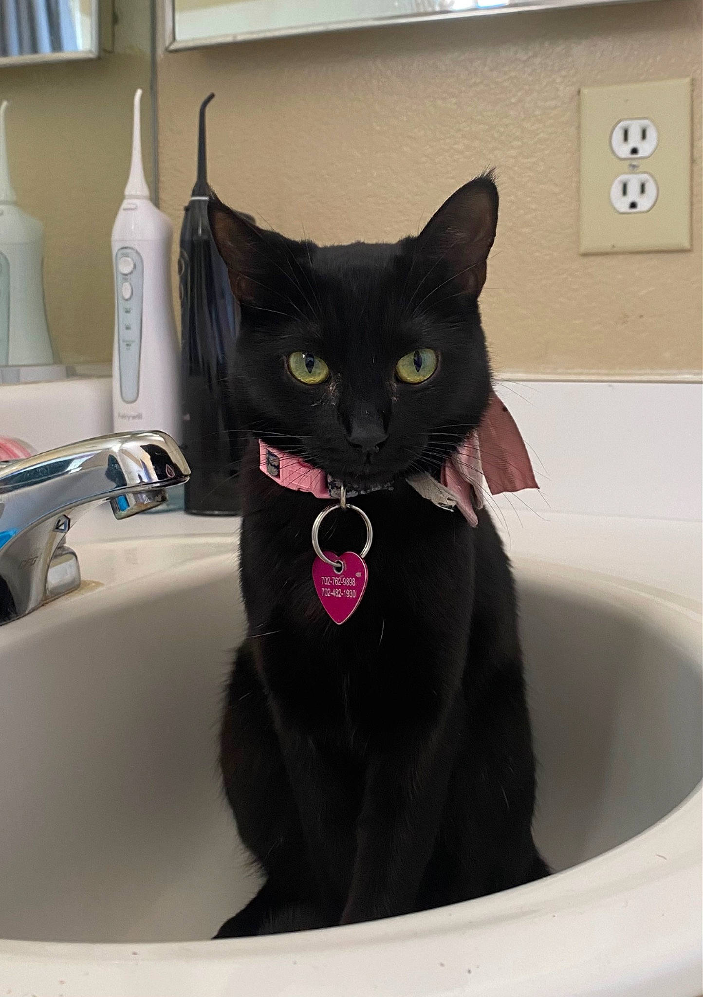 Sage is registered to the contest to win money with this photo: bathroom, bathroom_sink, bathtub, carnivore, cat, ceramic, domestic_short_haired_cat, felidae, household_supply, pet_supply, plumbing, plumbing_fixture, rectangle, sink, small_to_medium_sized_cats, snout, tap, wall_plate, whiskers, window
