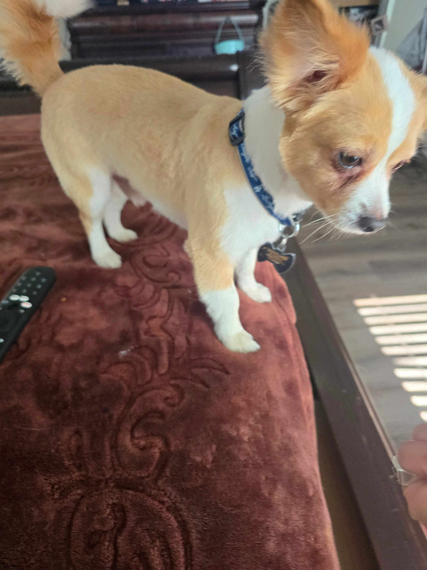 Zuck