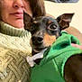 woman, dog, green_hoodie, sweater, video_call, indoor, couch, pet, close_up, face, person, technology, communication, casual, relaxed, home, portrait, smile, brown_hair, black_dog