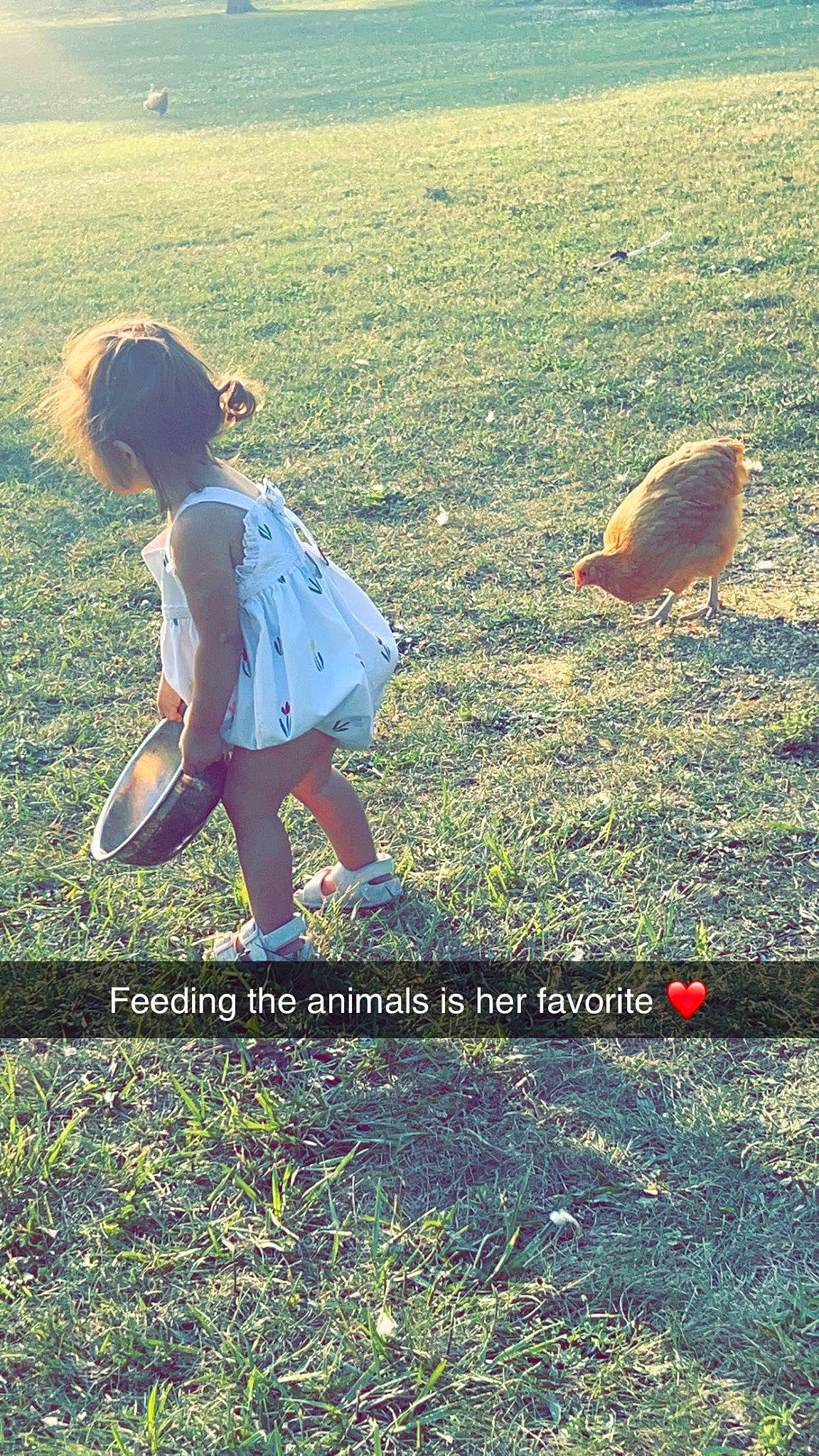 Camilla joined the competition — help win amazing prizes! adaptation, grass, grass_family, grassland, happy, human_leg, landscape, lawn, leisure, meadow, pasture, people_in_nature, person, photo_caption, prairie, recreation, shadow, soil, summer, toddler