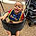 Zander