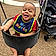Zander