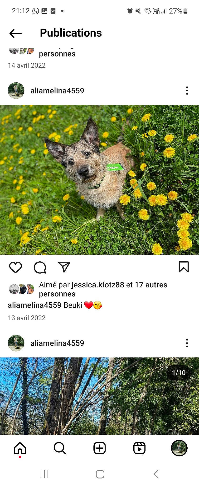 Lili participe au concours pour gagner de l'argent avec cette photo : carnivore, companion_dog, dog, dog_breed, flower, font, grass, grassland, groundcover, happy, natural_landscape, nature, organism, people_in_nature, petal, photo_caption, plant, prairie, screenshot, terrestrial_plant