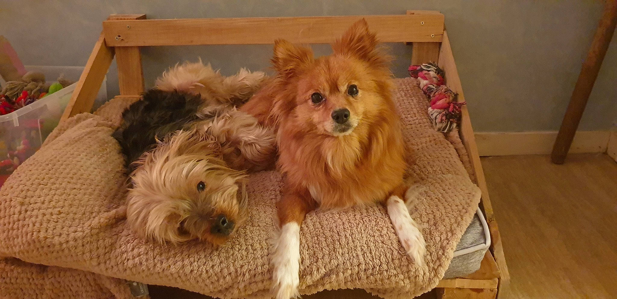 Inaya Et Gully