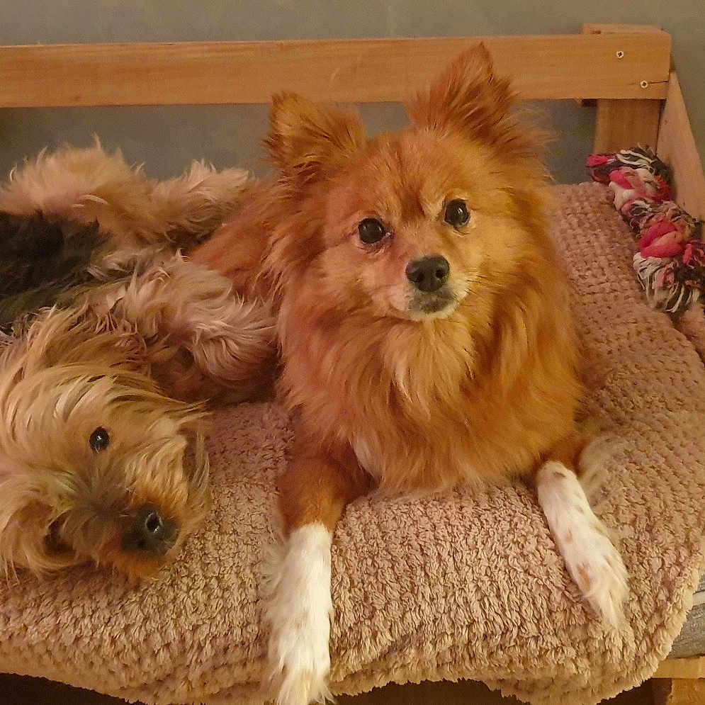 Inaya Et Gully