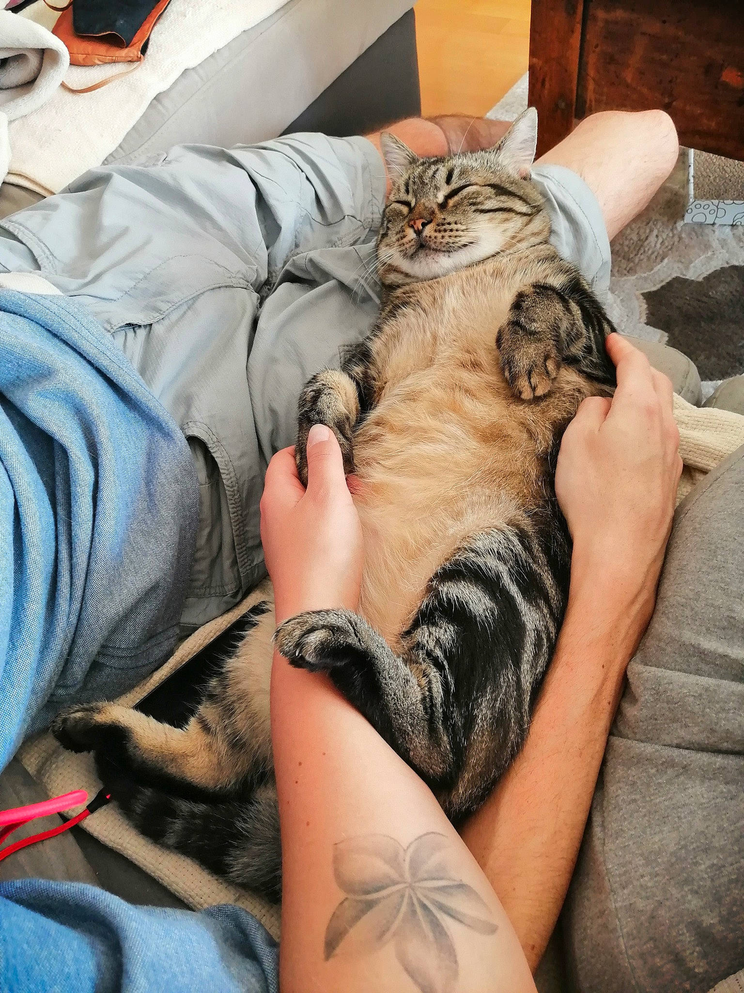 Rocky participe au concours pour gagner de l'argent avec cette photo : carnivore, cat, comfort, domestic_short_haired_cat, elbow, fawn, felidae, fur, human_leg, lap, nail, paw, small_to_medium_sized_cats, tattoo, tattoo_artist, temporary_tattoo, thigh, thumb, whiskers, wrist