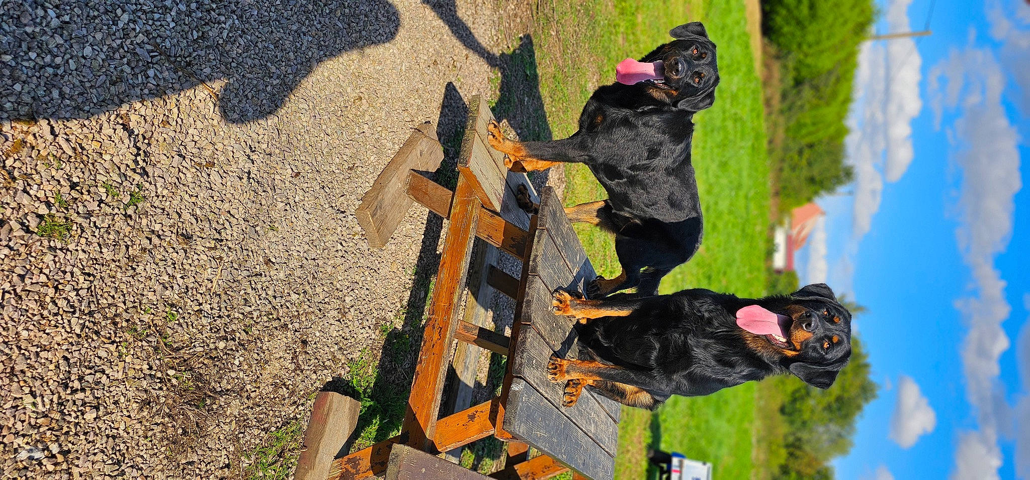 Jack Et Rafal a rejoint le concours — aidez-le/la à gagner de superbes lots ! adventure, concrete, extreme_sport, fun, glove, grass, hat, leisure, outdoor_shoe, personal_protective_equipment, recreation, slope, soil, tree, walking_shoe, wall, winter