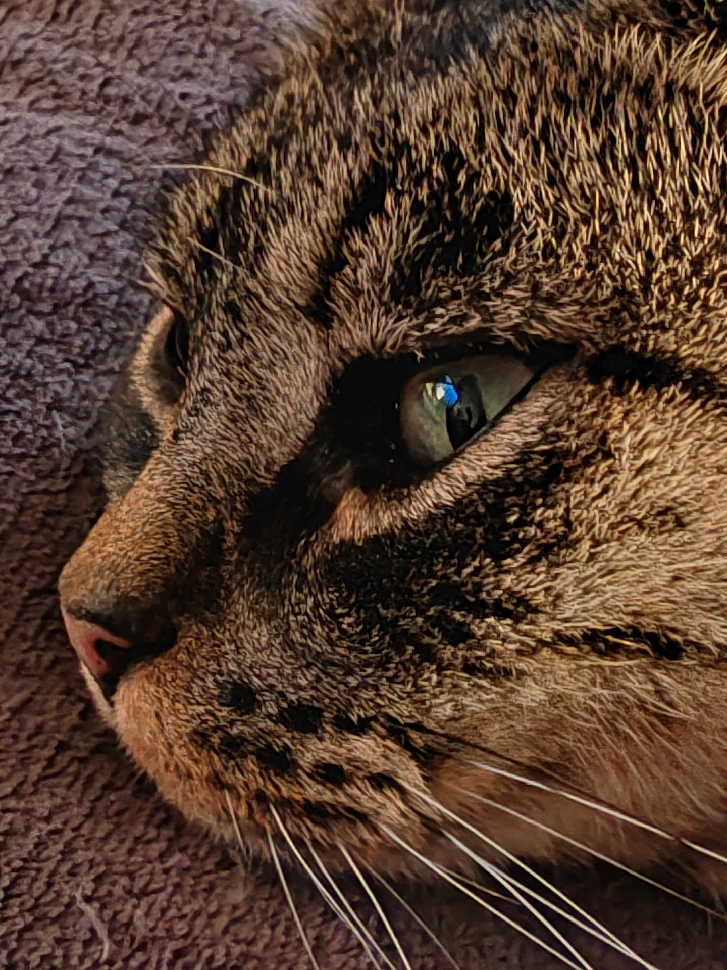 Léo