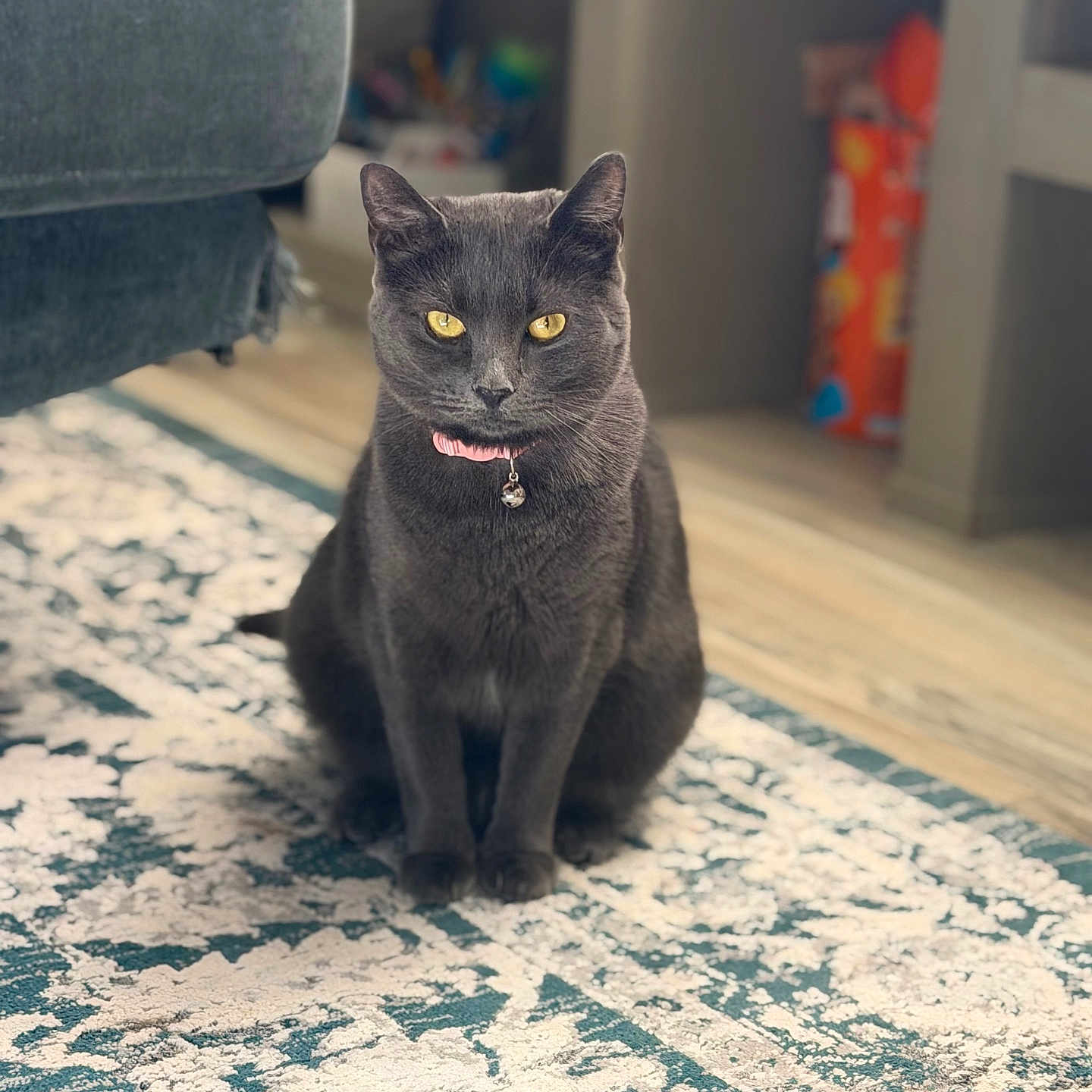 Bagheera