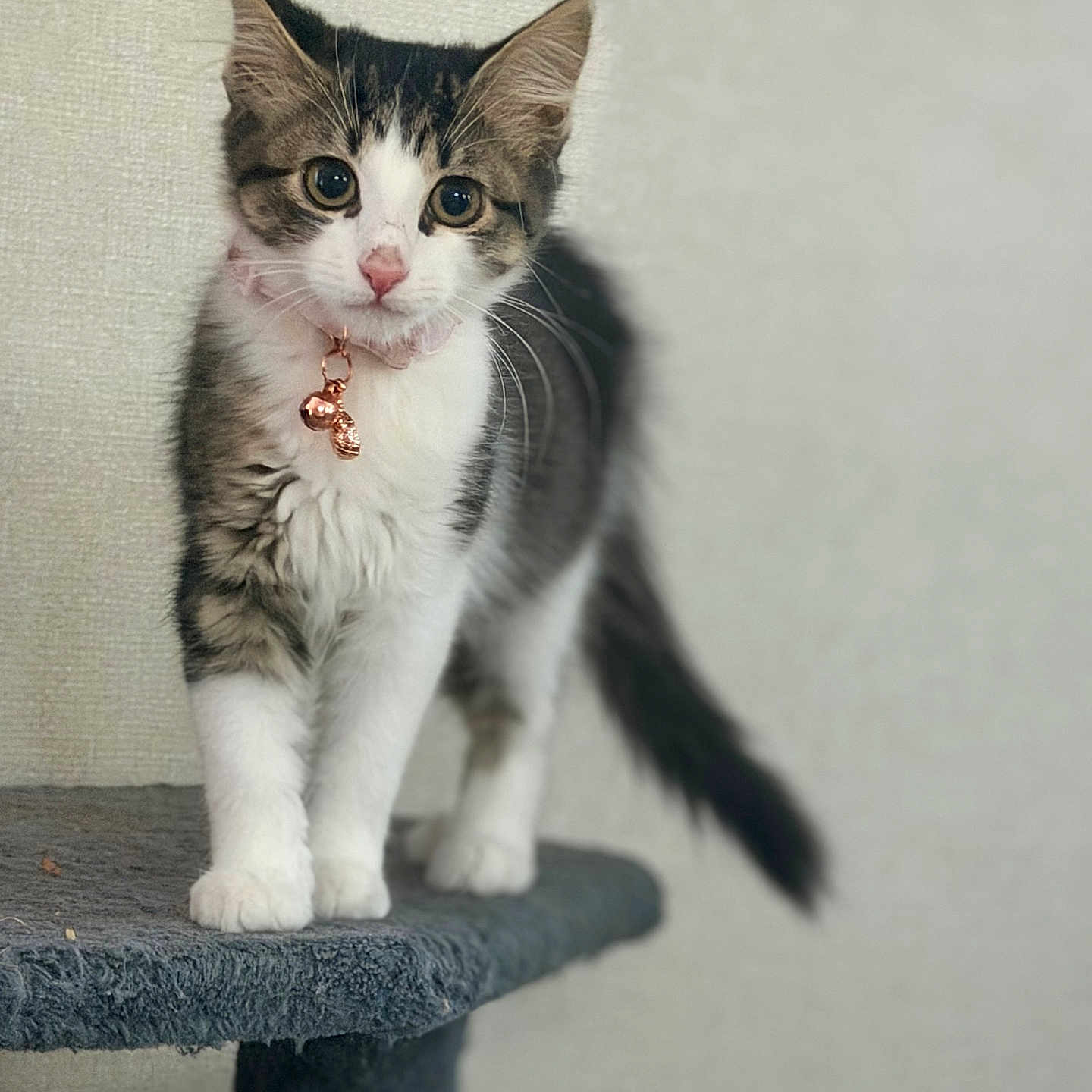 Winnie